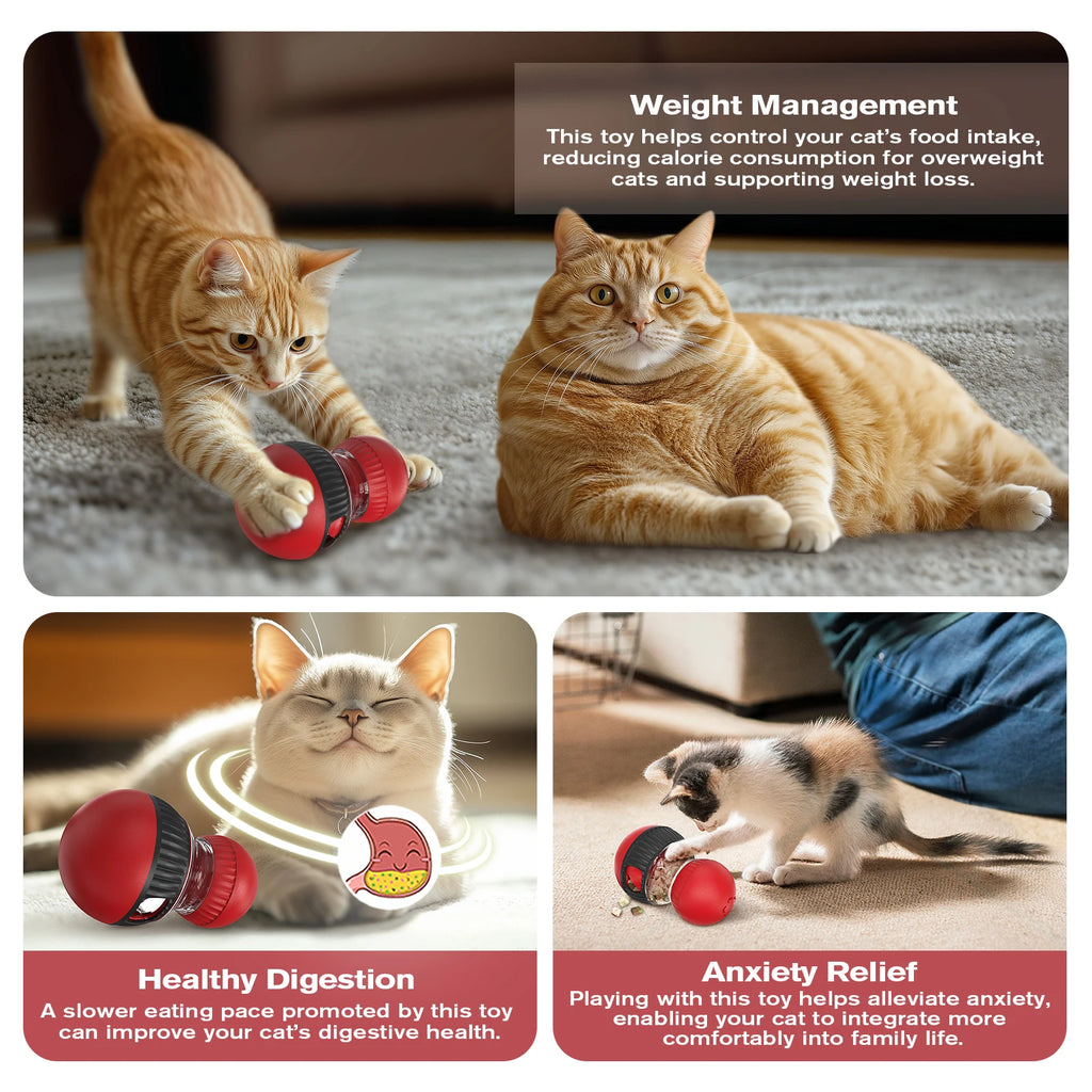 Squeaky Puzzle Feeder for Slow Feeding & Anxiety Relief, Food-Grade ABS