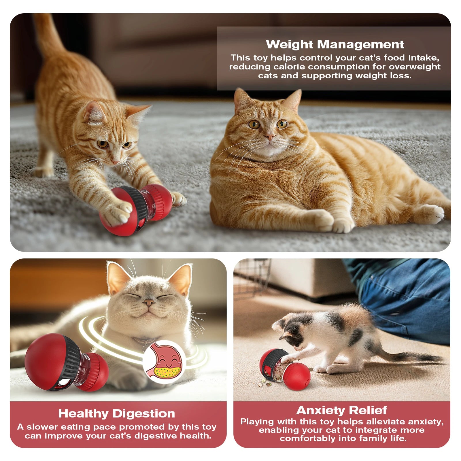 Squeaky Puzzle Feeder for Slow Feeding & Anxiety Relief, Food-Grade ABS